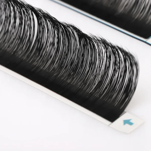 25mm Classic Eyelash Extension with Private Lable - 图片 4