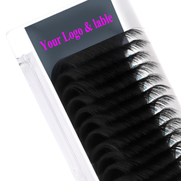 25mm Classic Eyelash Extension with Private Lable