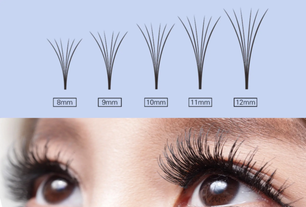 Easy Fan(Blooming) Eyelash Extensions with Private Label - 图片 3