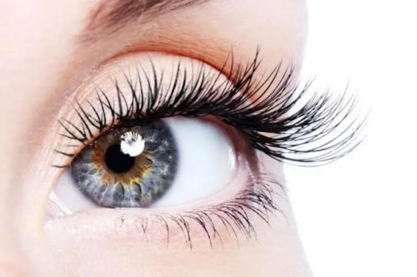 Easy Fan(Blooming) Eyelash Extensions with Private Label - 图片 6