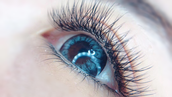 YY Lash Extensions With Private Label - 图片 5